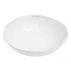 Large Neptune Soup Plate - View 2